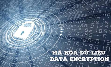 Bảo vệ dữ liệu và tất tần tật những thứ cần biết về bảo vệ dữ liệu - 12